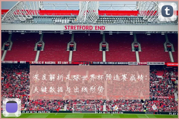 深度解析足球世界杯预选赛成绩：关键数据与出线形势