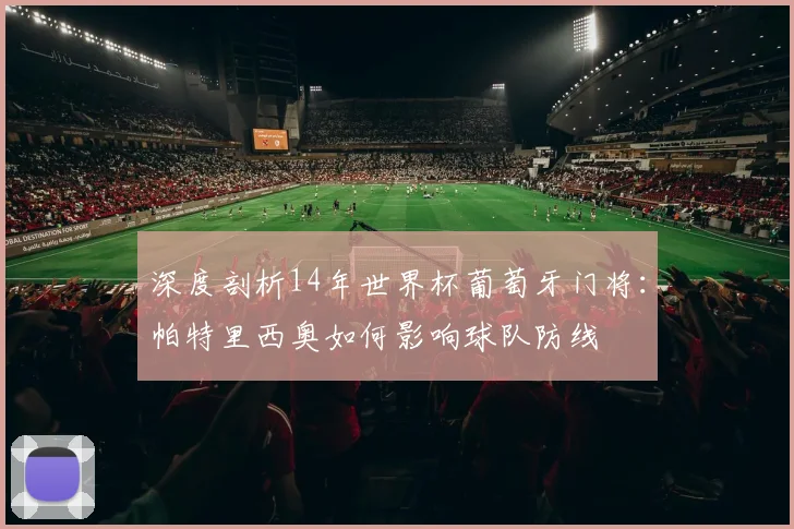 深度剖析14年世界杯葡萄牙门将：帕特里西奥如何影响球队防线