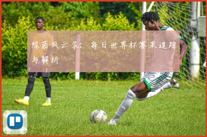 绿茵风云录：每日世界杯赛果追踪与解析