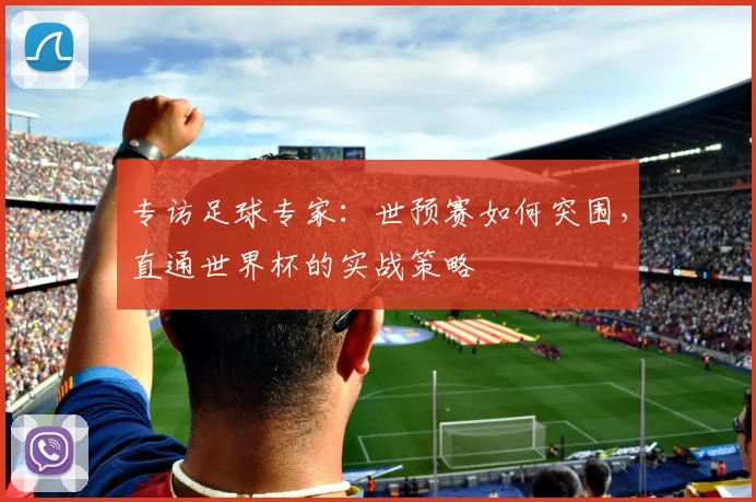 专访足球专家：世预赛如何突围，直通世界杯的实战策略
