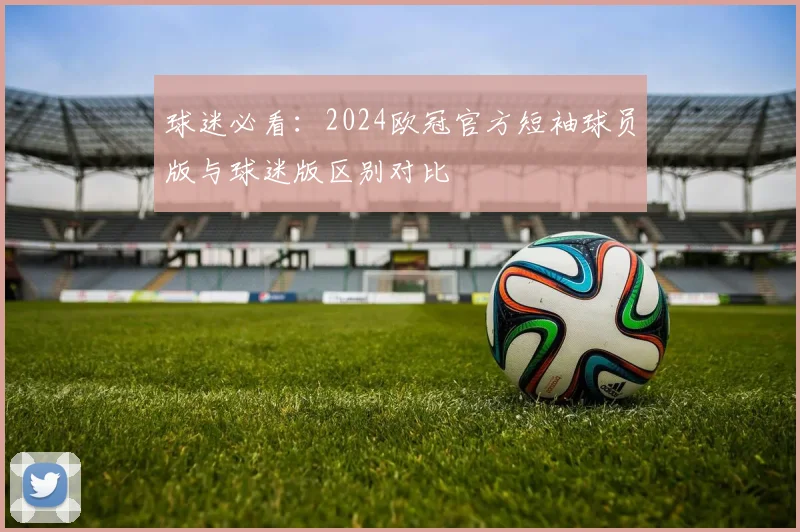 球迷必看：2024欧冠官方短袖球员版与球迷版区别对比