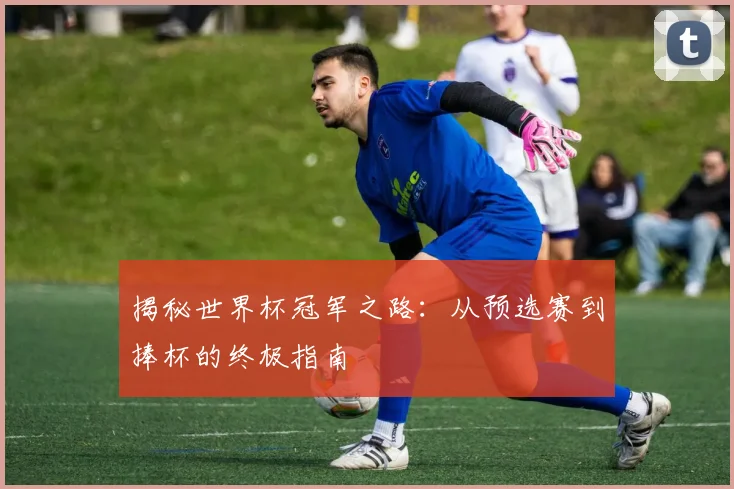 揭秘世界杯冠军之路：从预选赛到捧杯的终极指南