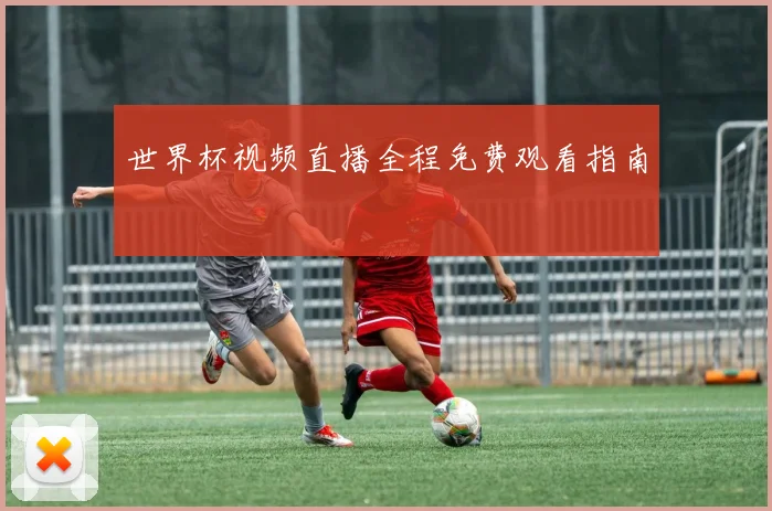 世界杯视频直播全程免费观看指南