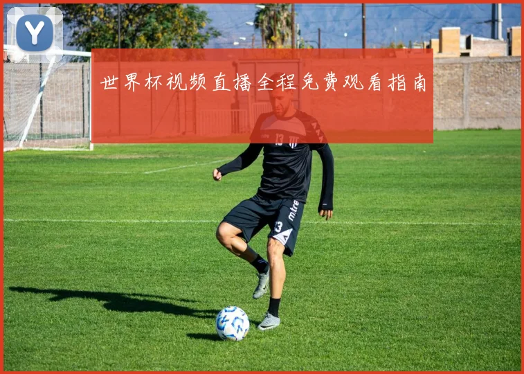 世界杯视频直播全程免费观看指南