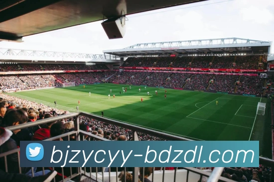 开云手机在线登录官网平台生态图